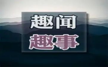 趣事作文600字初中作文最新8篇