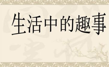 家乡的趣事作文模板5篇