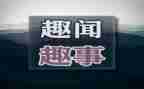 趣事作文600字初中作文最新8篇