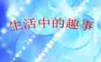 家乡的趣事作文600字8篇