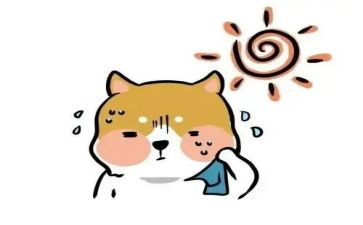 热爱祖国的作文优秀6篇