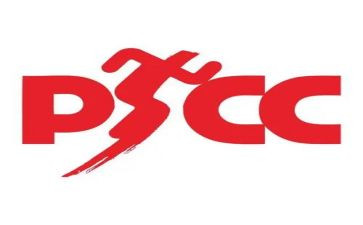 个人保安述职报告优质5篇