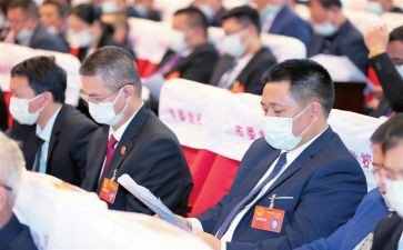 镇人代表发言稿范文8篇