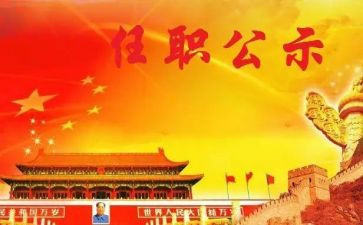 任职来工作总结7篇