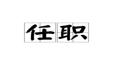 任职以来的述职报告6篇