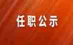 任职以来技术工作总结5篇