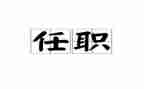 任职以来的述职报告6篇