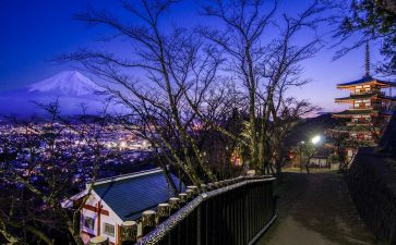 日本之旅作文5篇