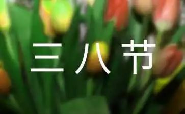 三八策划活动方案优秀7篇