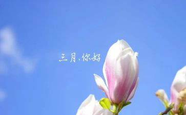 幼儿园三月份工作计划7篇