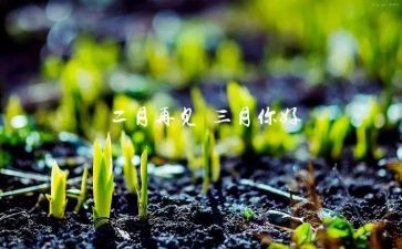 三月升旗演讲稿6篇