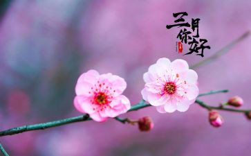 幼儿大班三月工作总结8篇