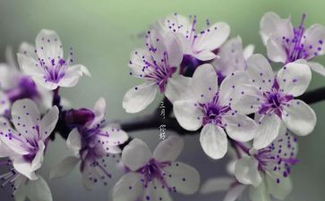 幼儿大班三月份工作总结6篇