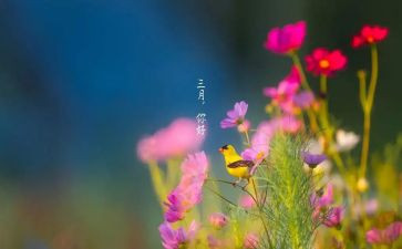 销售三月工作计划5篇