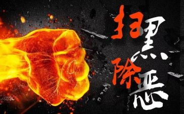村扫黑除恶年度工作总结7篇