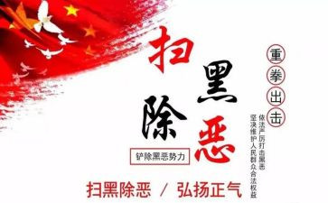 扫黑除恶年度工作总结6篇