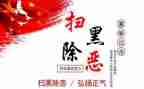 扫黑专项行动工作总结5篇