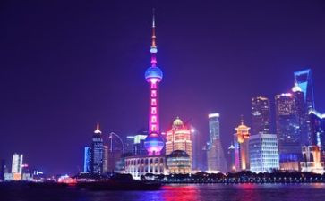 扑上海心得体会5篇
