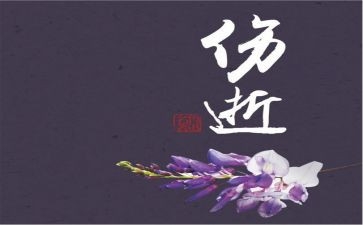 伤逝读后感5篇