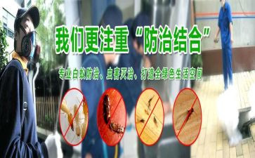 杀四害工作计划5篇