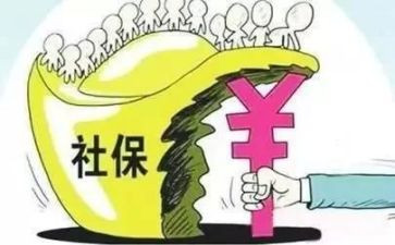 社保股工作个人总结8篇