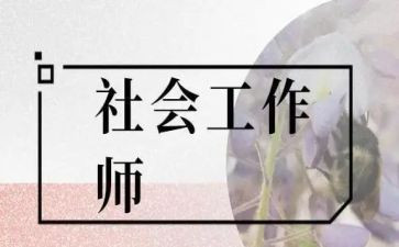 技能社工作总结8篇