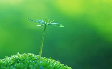 关爱生命的心得体会5篇