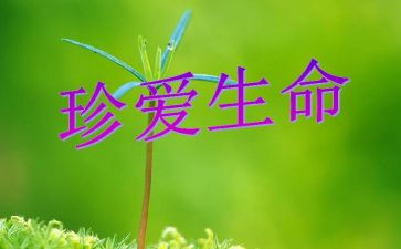 生命感悟作文600字8篇