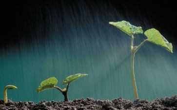 生命里读后感5篇