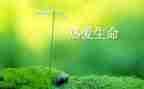 生命的脆弱作文8篇