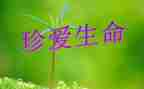 感悟生命演讲稿7篇