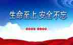 心得体会生命至上5篇
