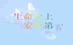 生命至上的演讲稿7篇