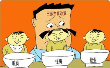 2024年计划生育工作个人总结8篇