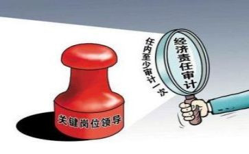 审计工作工作报告8篇