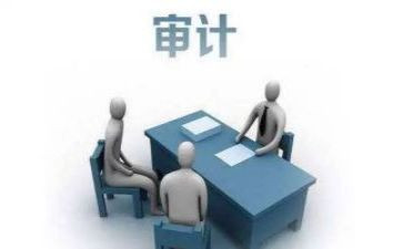 公司年度审计工作计划5篇