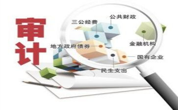 审计年度总结范文5篇