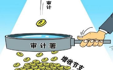 内部审计工作总结范文5篇