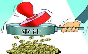 年终审计工作总结模板6篇
