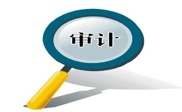 审计办工作计划精选8篇