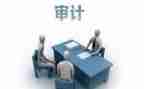 公司年度审计工作计划5篇