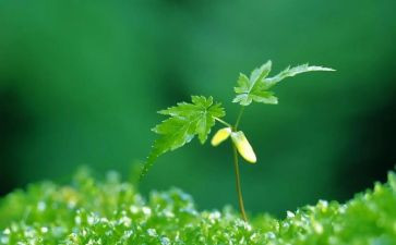 最深刻的事作文最新6篇