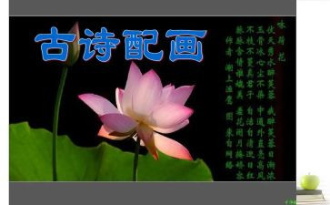 幼儿园学诗歌教案优秀7篇