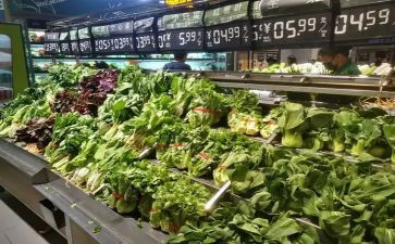 市场调查报告及范文优秀5篇