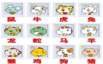 《十二生肖》教案通用6篇