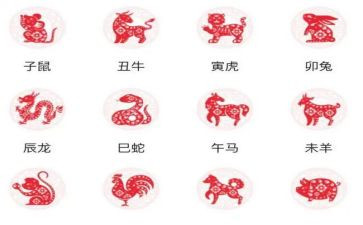 十二生肖的歌教案优秀7篇