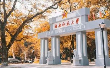 小学述职报告教师范文最新6篇