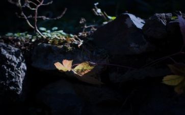 时光心得体会8篇