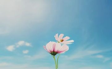 十年后回故乡作文7篇