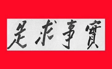 为民办实事工作总结5篇